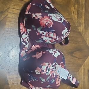 Cacique Burgundy Floral Women's Bra